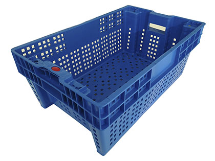 Caja de Plástico 10 kg para Transporte de Frutas