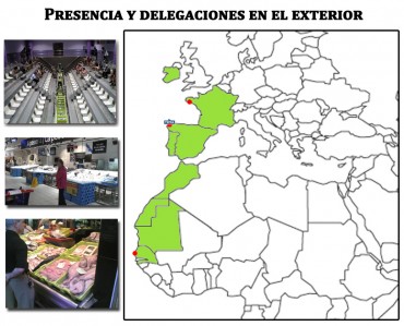 Implantacion cajas de plastico