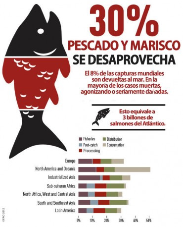 Desperdicio pescado en el mundo