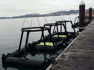 Structures flottantes pour Mésocosmes de l’Université de Vigo – ECIMAT