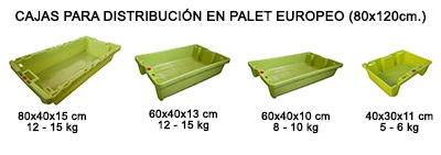 modelos de cajas de plastico para comercialización