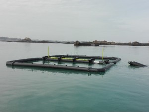 Estructura flotante para algas