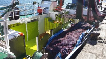 Cajonada de plástico barco novo cazador