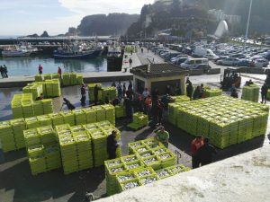Descarga de bocarte en el puerto de ondarroa