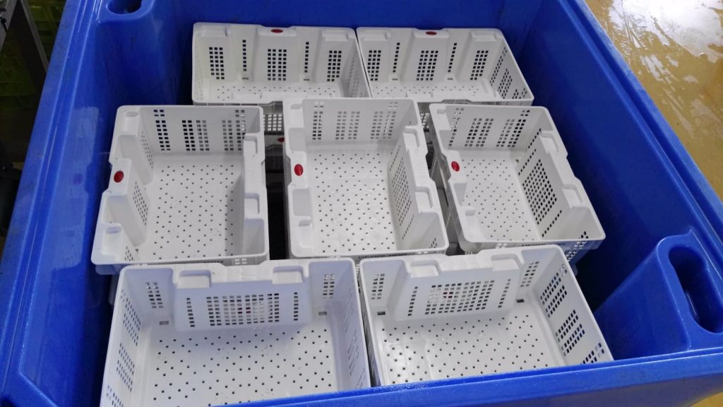 cajas de plastico en bin de depuracion
