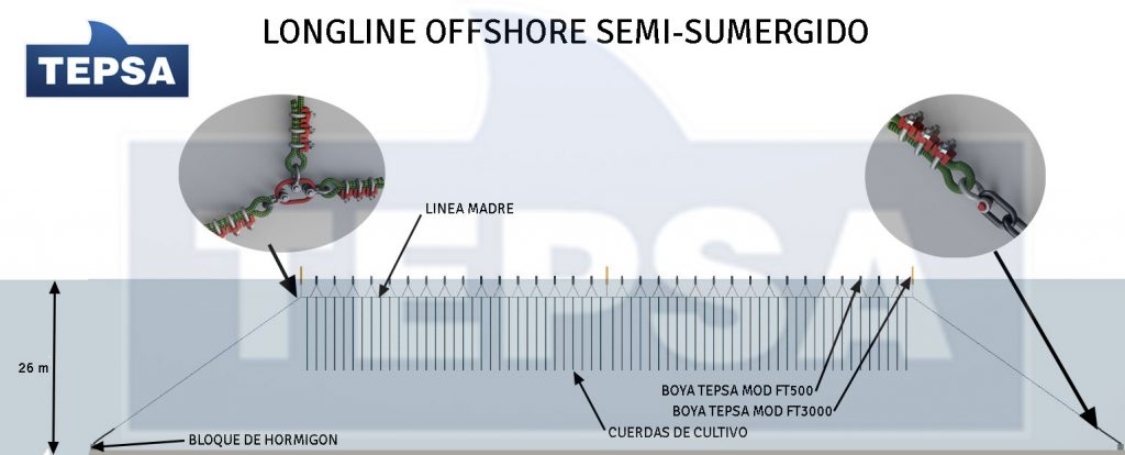 Longline con boyas verticales para cultivo de mejillón