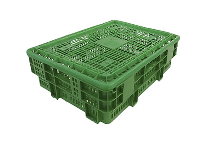 Caja para caracoles