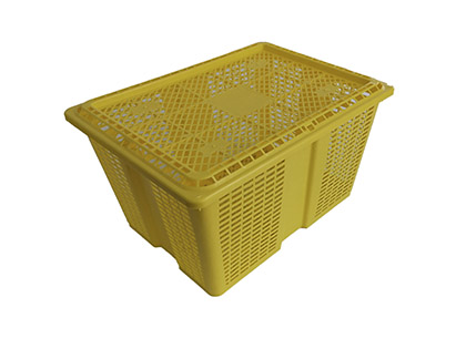 Shellfish crate (9kg)