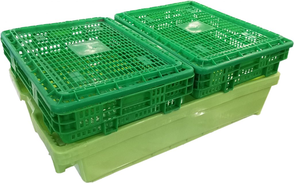Cestos de marisco apilados sobre caja de pescado