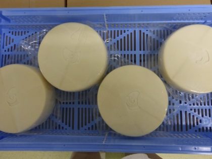 Bacs plastique pour affiner les fromages
