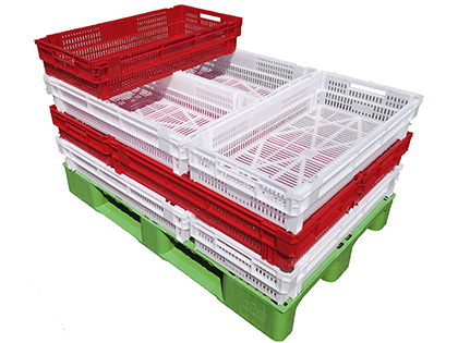 Caja plástica plegable para fruta y verdura BCFF-45455