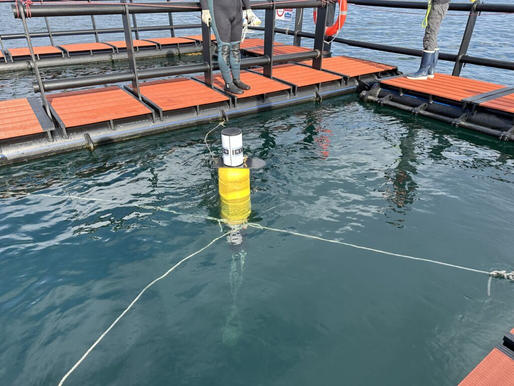 Sonda multi-parámetro para acuicultura instalada en jaula flotante TEPSA