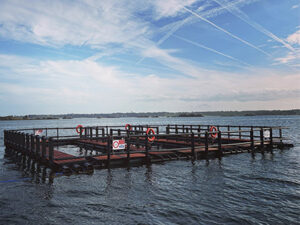 IMTA floating cage