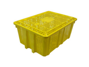 Panier coquillages 6kg
