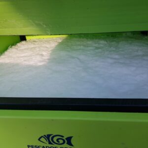 Interior de un contendor de plastico lleno de hielo 