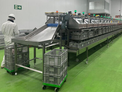 Cajas plásticas reutilizables euronorma: la solución ideal para almacenes robotizados