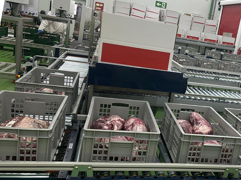 cinta transportadora con cajas reutilizables que contienen carne